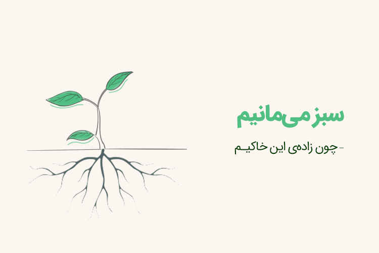 امید 