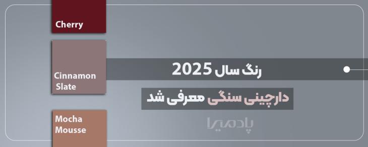 رنگ سال 2025 دارچینی سنگی معرفی شد چرا؟